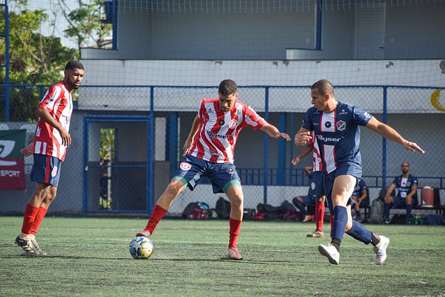 未来前景 未来前景