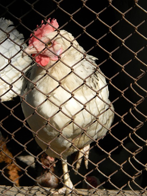 另一方面 另一方面