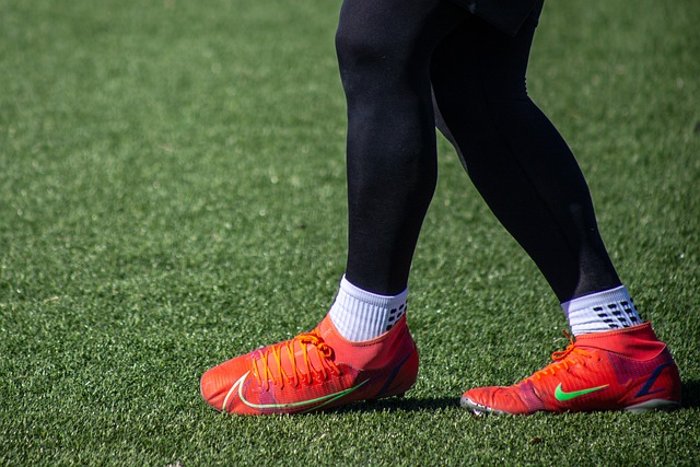 龙队赢得总 龙队赢得总