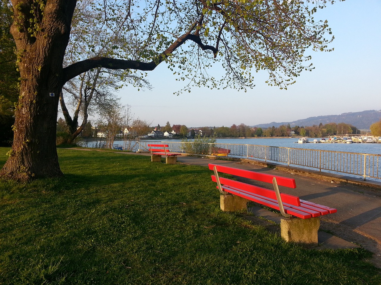 无疑是他们 无疑是他们