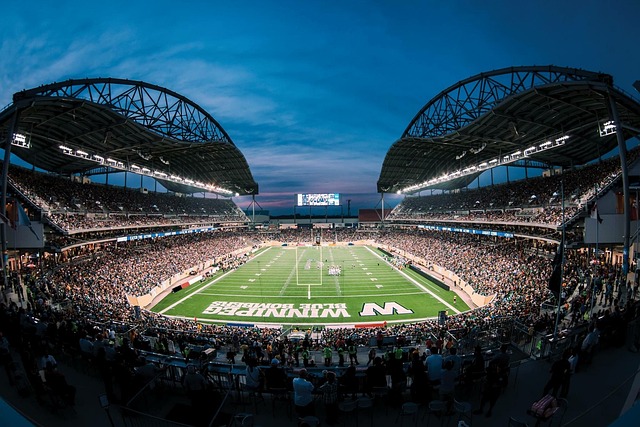 他们往往能 他们往往能