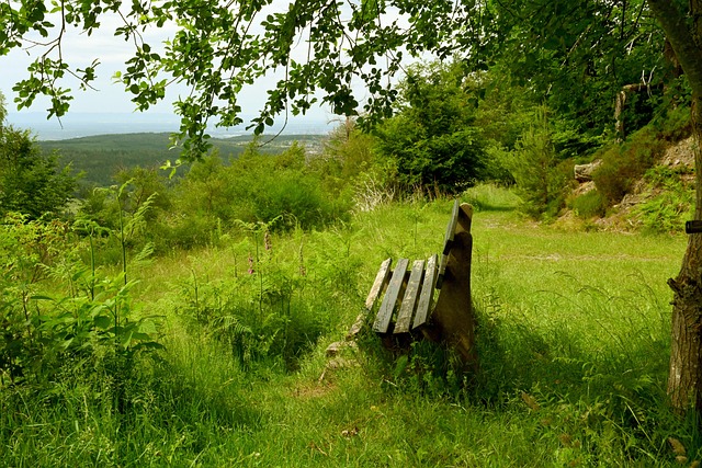 杜普兰蒂斯 杜普兰蒂斯